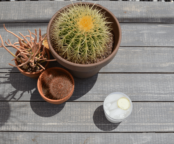 This cucumber cocktail recipe is perfect for summer! 