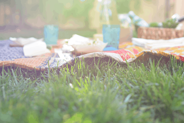 Summer Picnics are #NaturallyAmazing