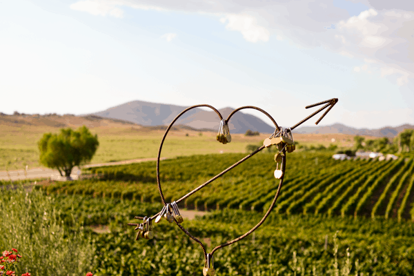 Love locks at Doffo Winery. #temecula