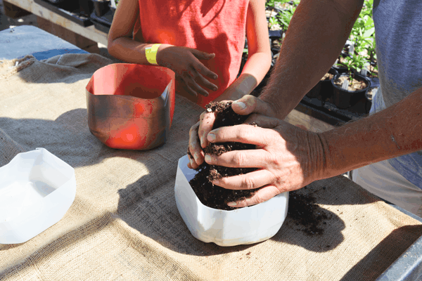 Adding soil to the upcycled milk jug planter. 
