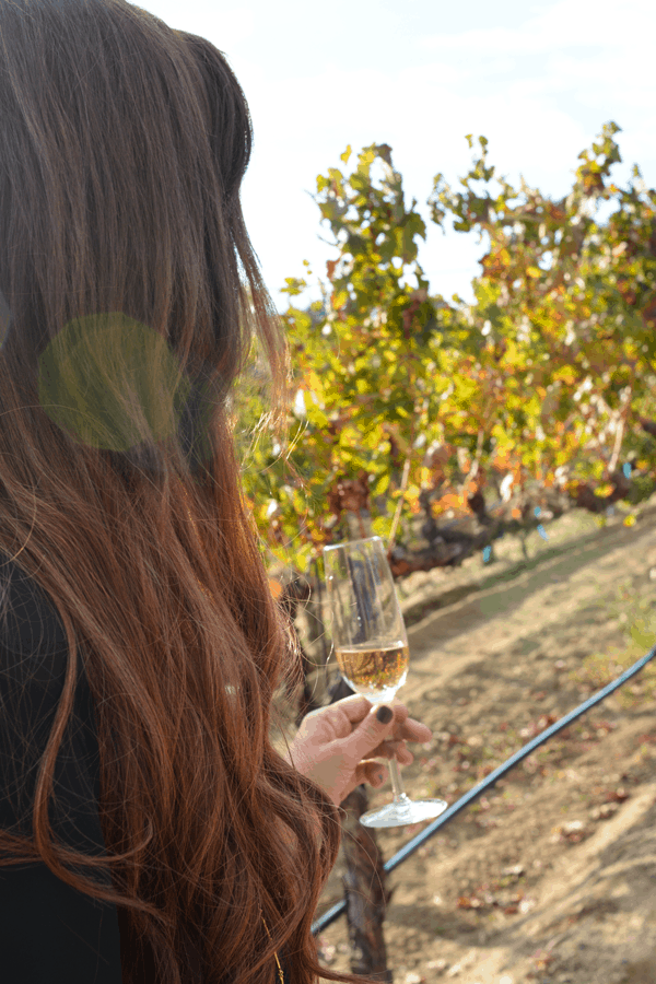 Wine Tasting at Leoness Cellars in Temecula. #LorimarSleepover