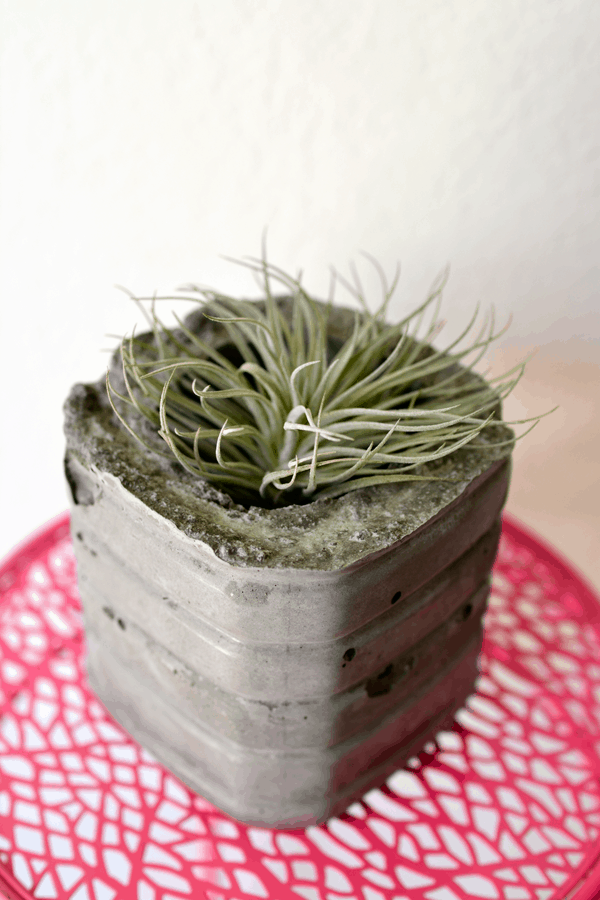 DIY concrete vase tutorial. The kids helped! #StreamTeam