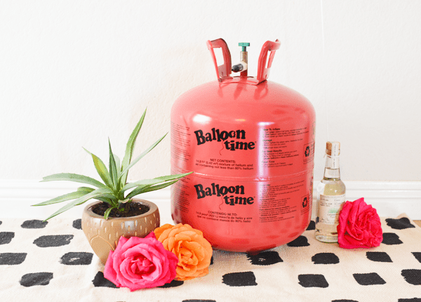 A Balloon Time Helium Tank on the ground with a potted plant, some bright flower and a small bottle of tequila next to it.