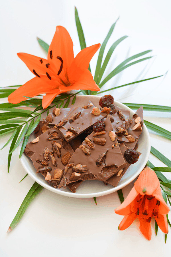 Chocolate bark with roasted edible crickets.