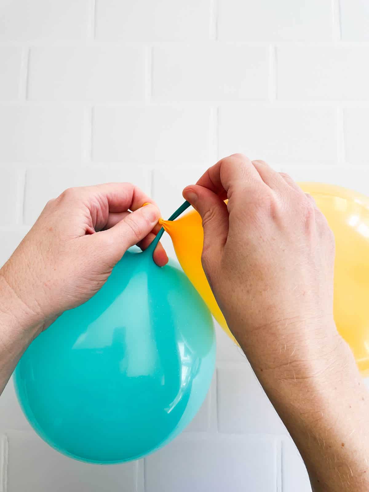 Close up of two linking balloons being tied together.