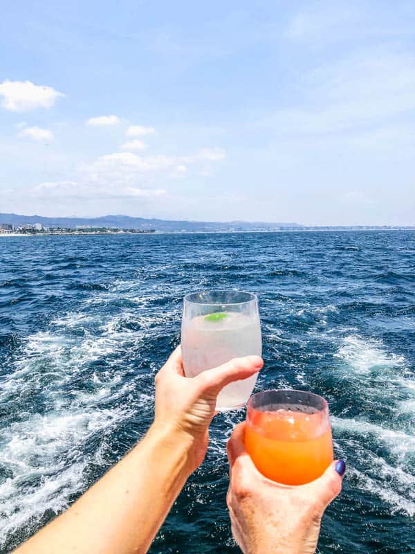 Two hands holding cocktails with the ocean behind them.