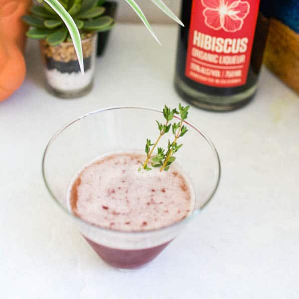 Tart and Refreshing Hibiscus Martini Recipe