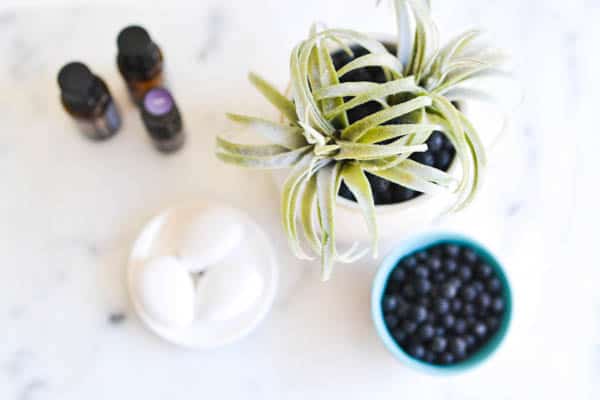 Overhead shot of a DIY diffuser and white porous rocks.