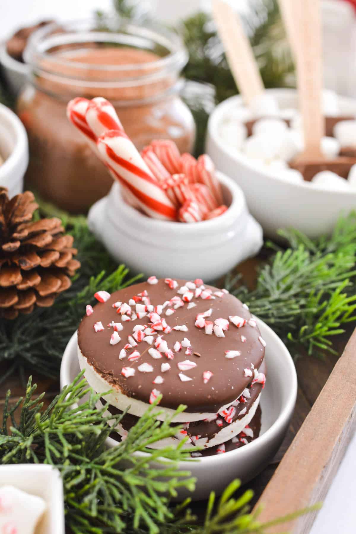 Close up of hot cocoa toppings on a tray.