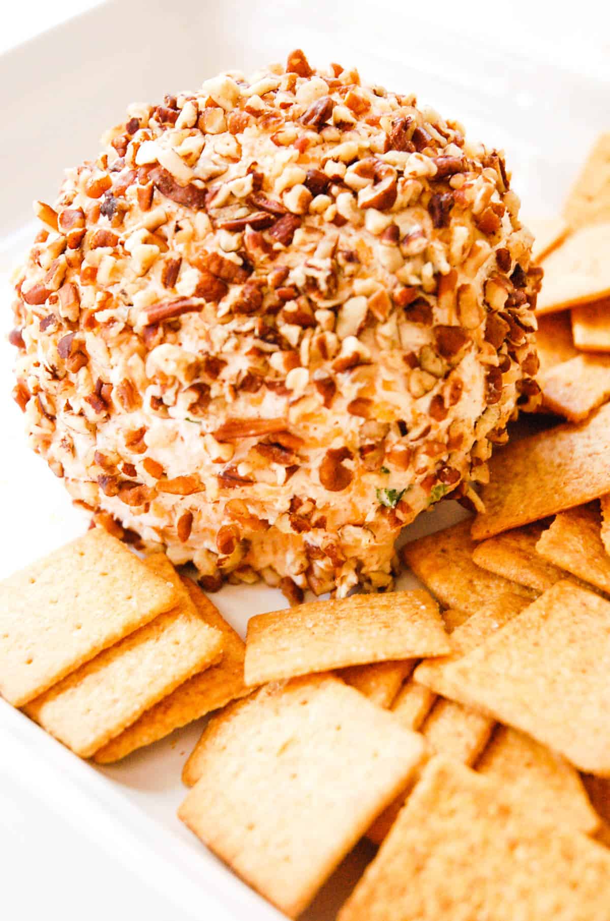 Cheese ball on a platter with crackers.