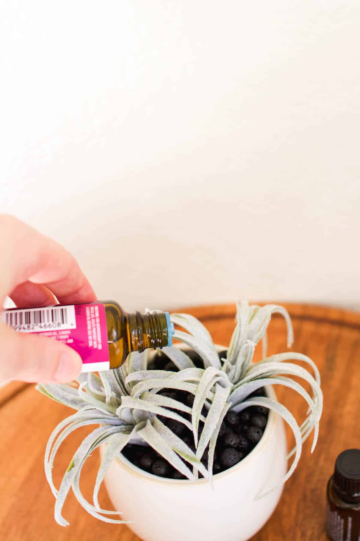 Woman adding drops of essential oil to lava rocks under a fake succulent.