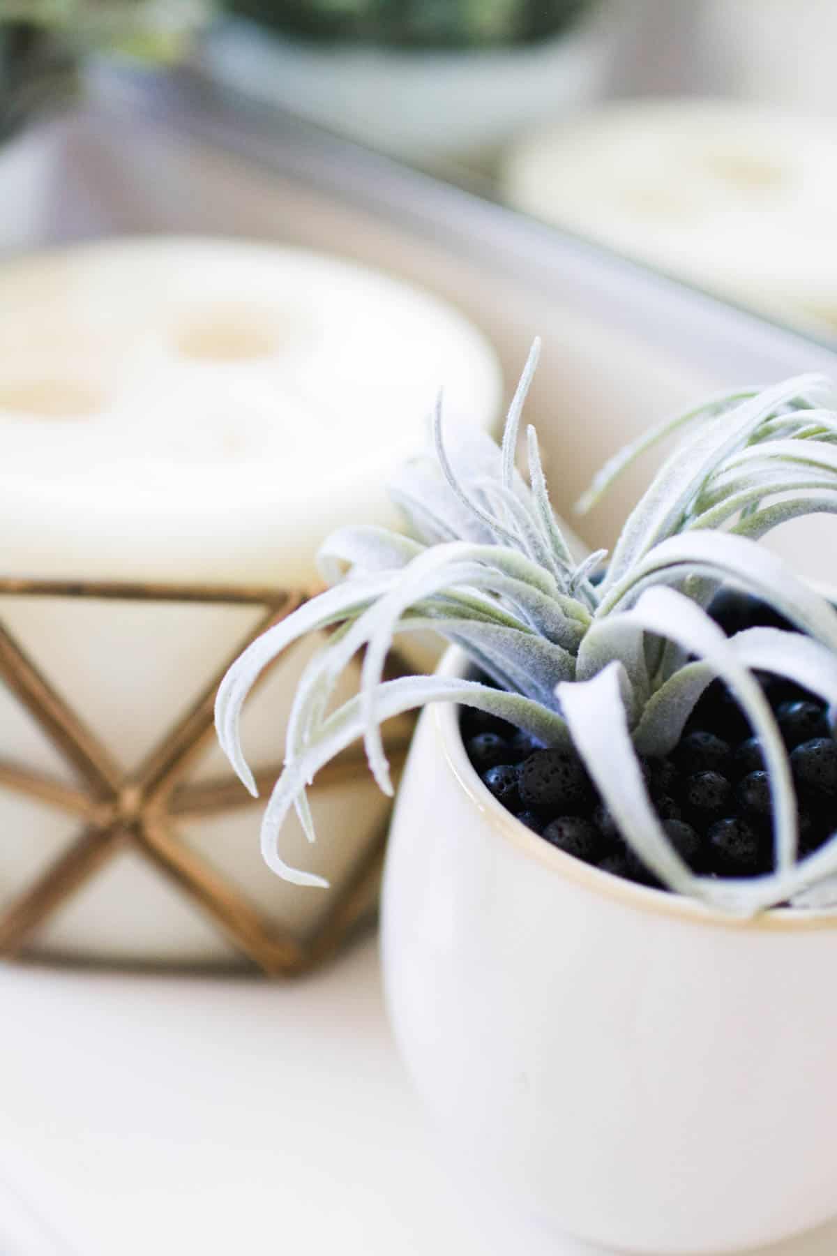 Close up of lava rocks used to make an essential oil diffuser in a succulent planter.