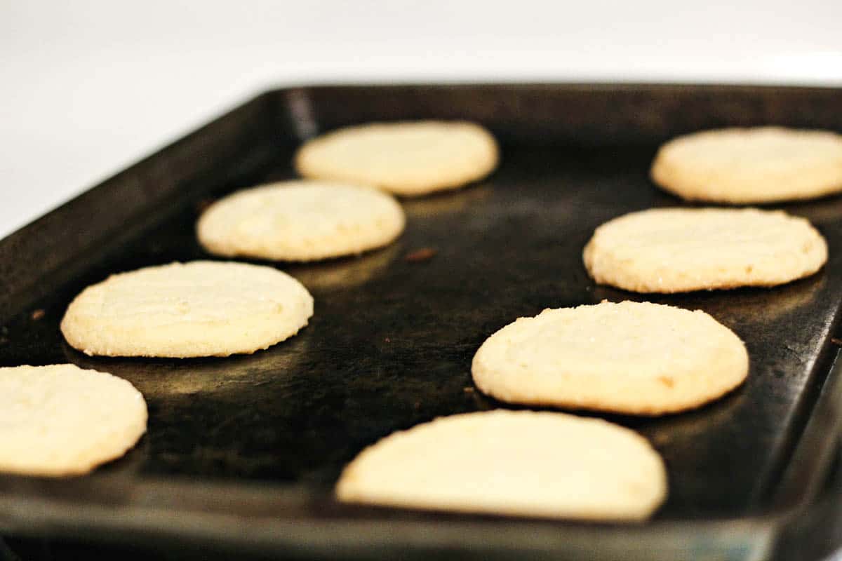 Baked sugar cookies on a cookie sheet.