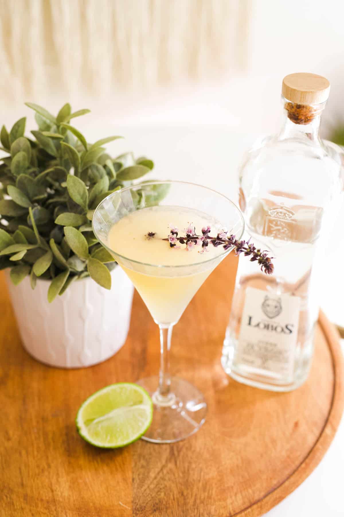 A martini glass holding a tequila gimlet recipe on a tray next to a bottle of tequila.