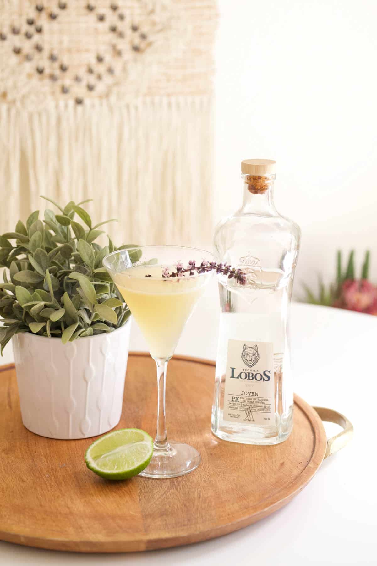 A martini glass with a tequila gimlet on a tray next to a bottle of tequila.