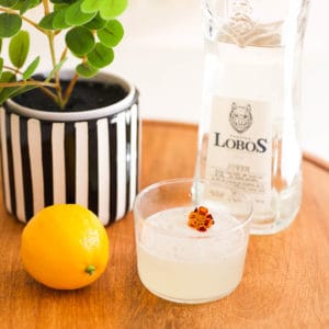 Close up of a short cocktail glass with a tequila sour topped with an edible flower garnish.