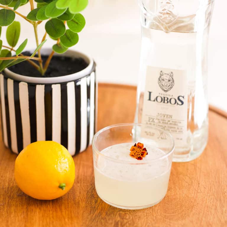 Classic Tequila Sour Recipe (Tequila Sour No Egg)