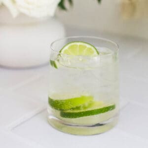 Gin and tonic in a tumbler garnished with slices of lime.