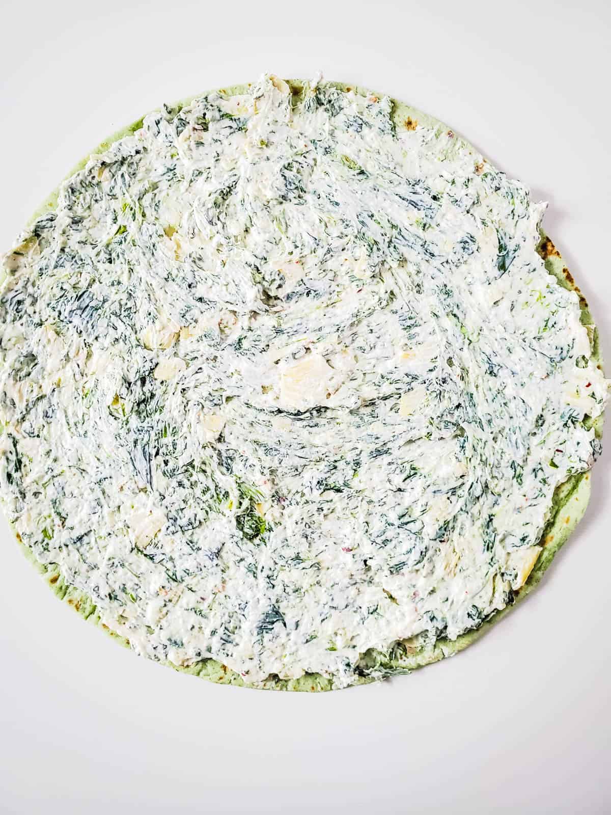 A layer of spinach artichoke dip spread on a spinach tortilla.